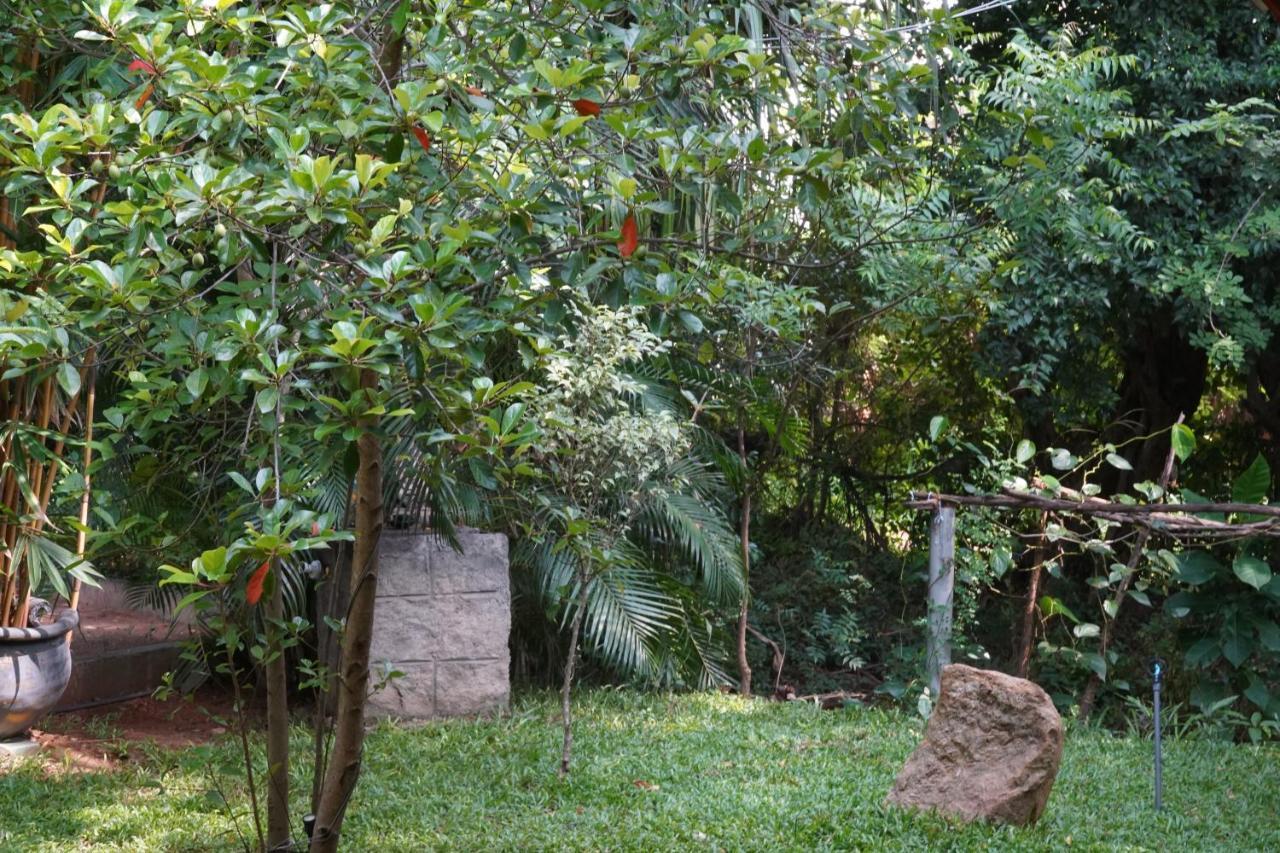 Sandra Guesthouse Dambulla Exterior foto