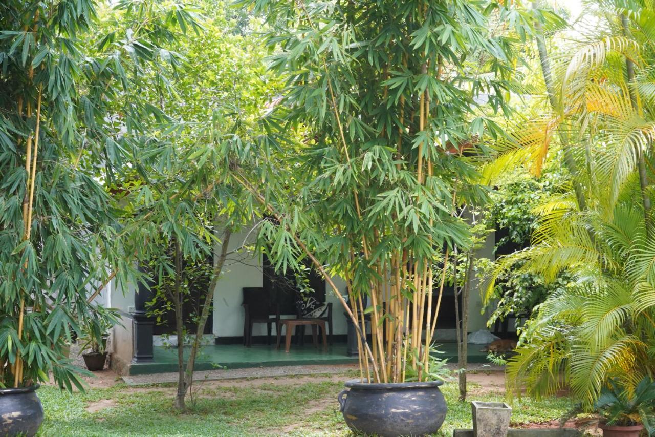 Sandra Guesthouse Dambulla Exterior foto